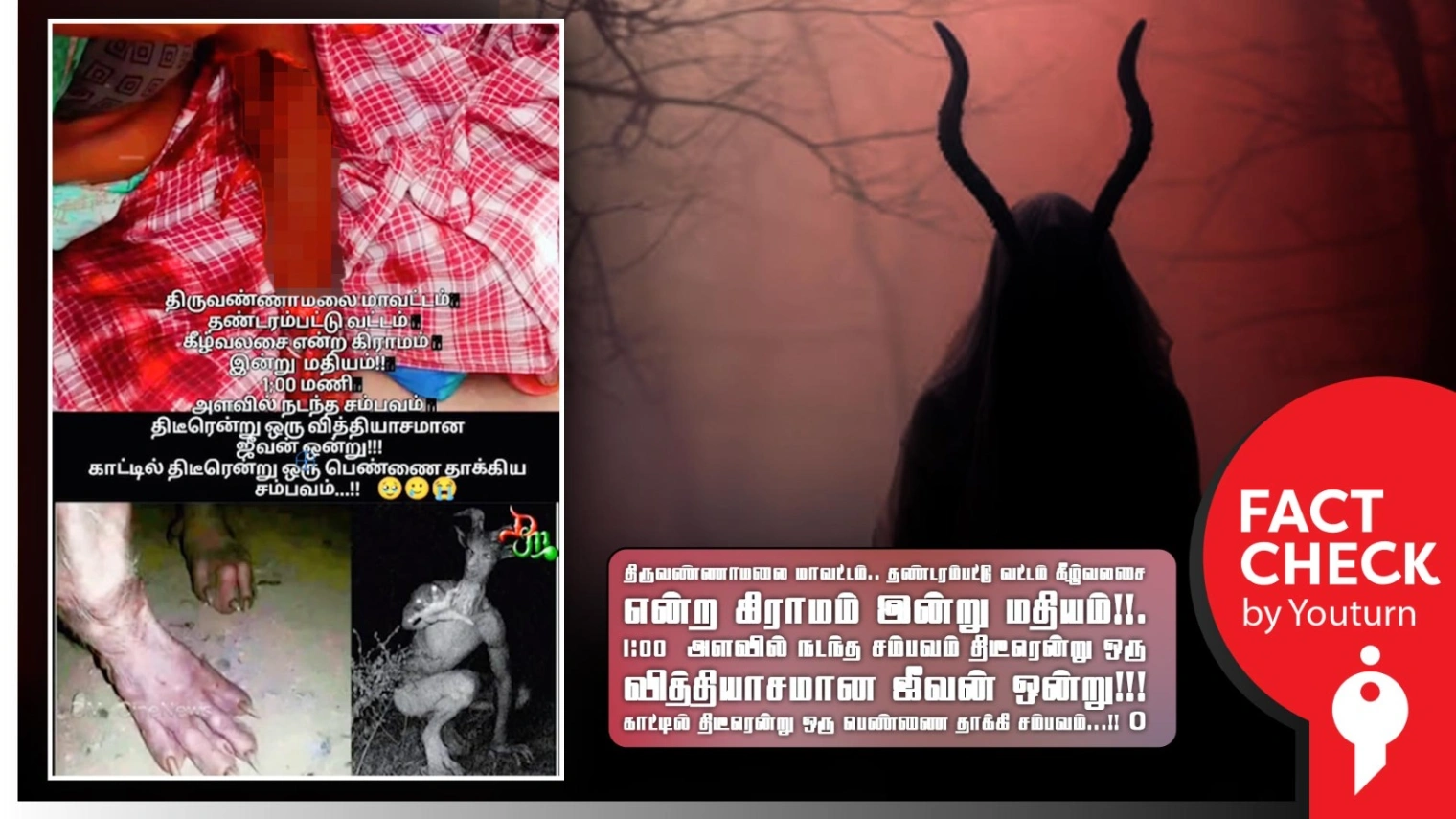 திருவண்ணாமலையில் தென